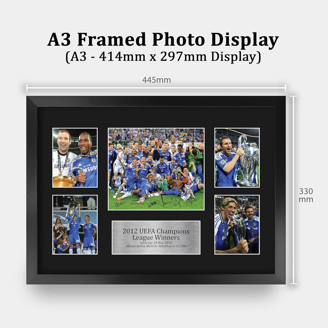 HWC Trading FR A3 Winners 2012 Gedruckte Erinnerungsstücke Signiert Autogramm Foto Display Für Fussb