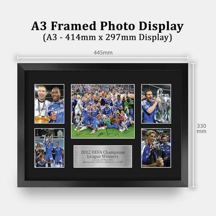 HWC Trading FR A3 Winners 2012 Gedruckte Erinnerungsstücke Signiert Autogramm Foto Display Für Fussb
