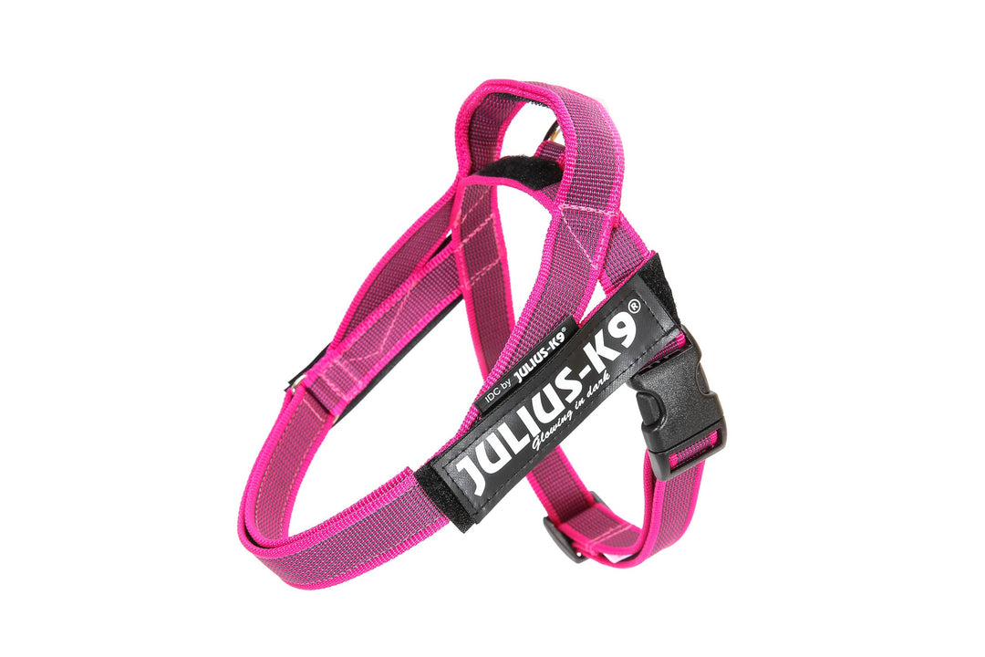 Julius-K9, IDC® Color & Gray® Beltgeschirr pink-grau XS / Mini-Mini, pink-grau XS / Mini-Mini