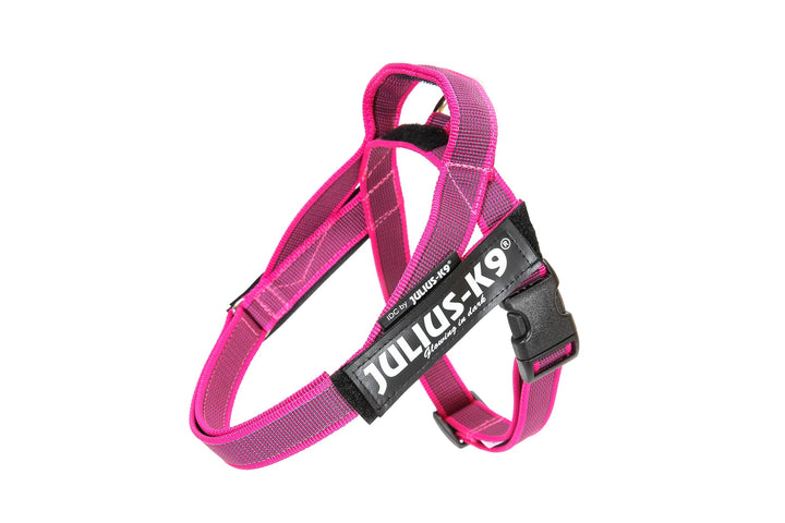 Julius-K9, IDC® Color & Gray® Beltgeschirr pink-grau XS / Mini-Mini, pink-grau XS / Mini-Mini