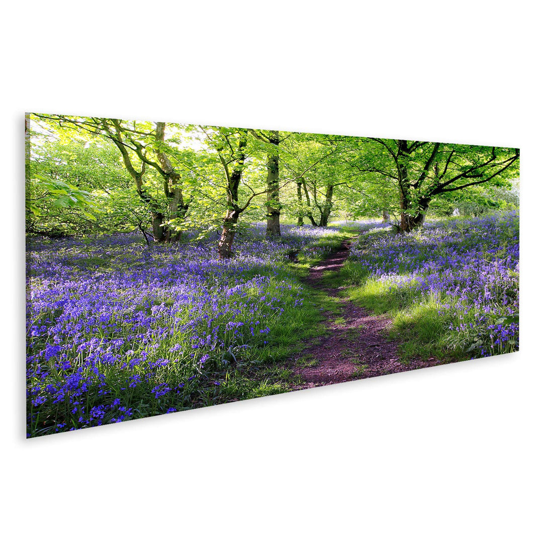 islandburner Bild auf Leinwand Blaue Glocken Gesamtstruktur In Schottland Wandbild Poster Kunstdruck