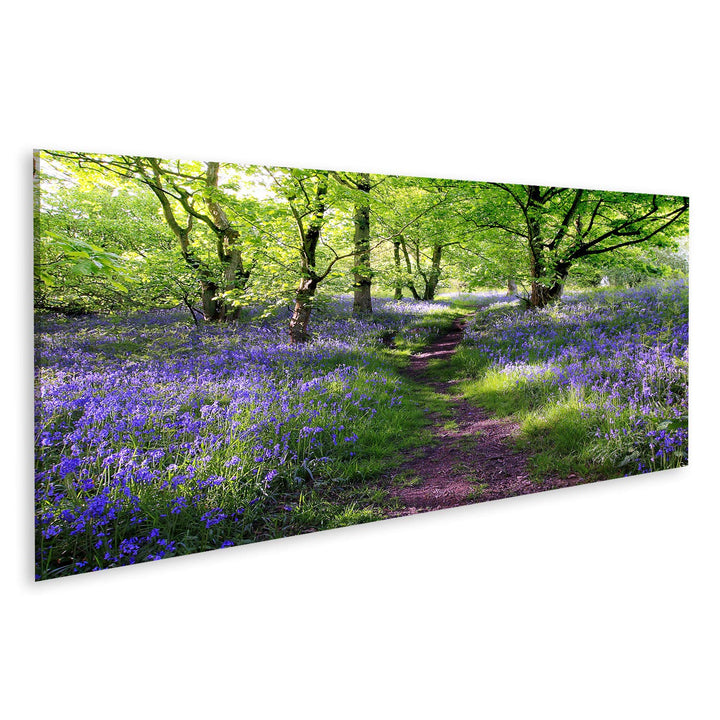 islandburner Bild auf Leinwand Blaue Glocken Gesamtstruktur In Schottland Wandbild Poster Kunstdruck