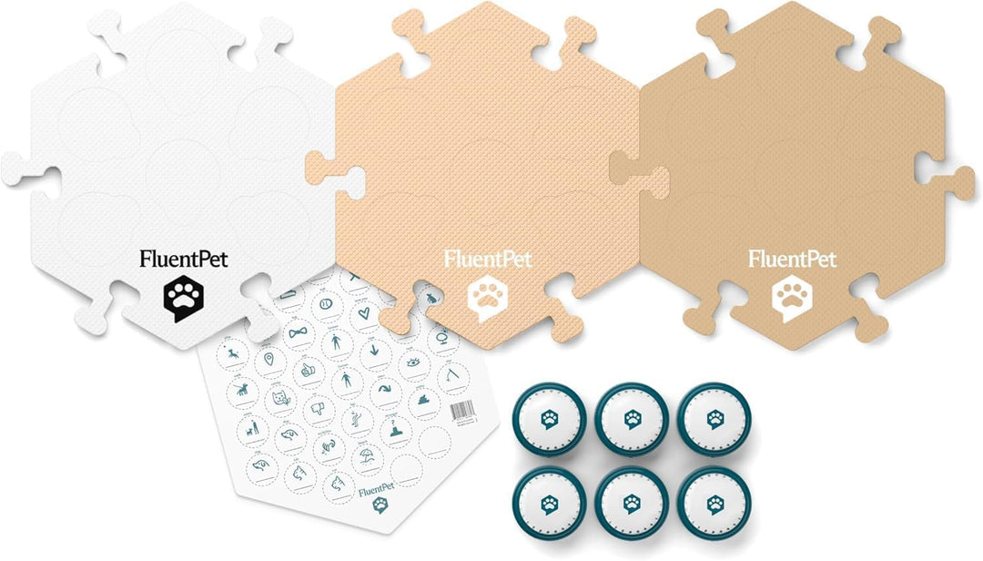 FluentPet Classic Vokabel-Set mit klarerem, nach Oben gerichtetem Ton – 12 bespielbare Tasten mit vo