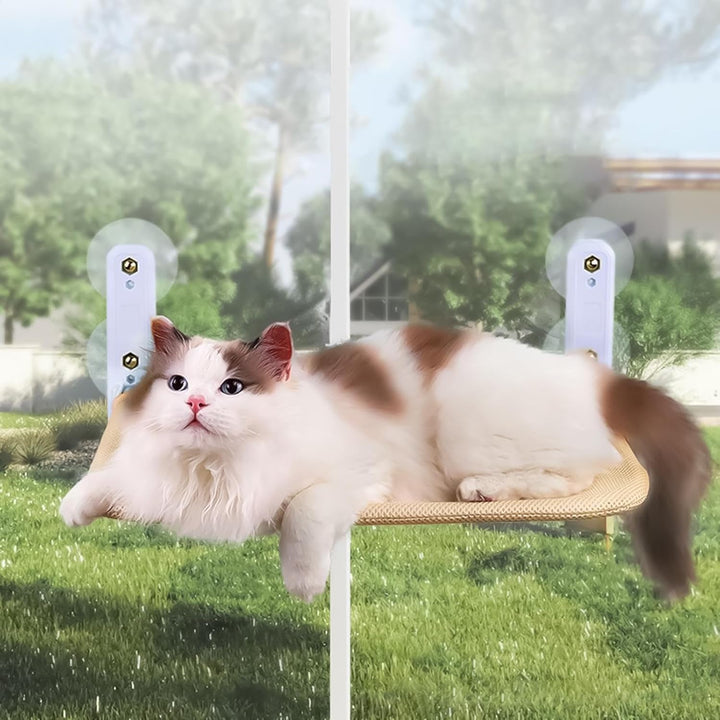 Katzensitz für Fenster, Katzenfensterbett,Katze Wandregale Fenster - Katzenhängematte für grosse Kat
