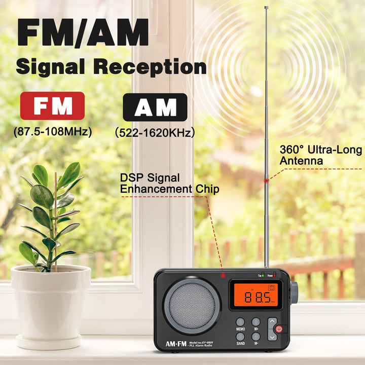 Tendak Radio Batteriebetrieben FM UKW AM, Radio Klein mit Grosses Display/Timing-Funktion/Wecker, Tr