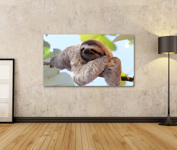 islandburner Bild auf Leinwand Schlafendes Faultier Auf Ast Bilder Wandbilder Poster Leinwand 100x57