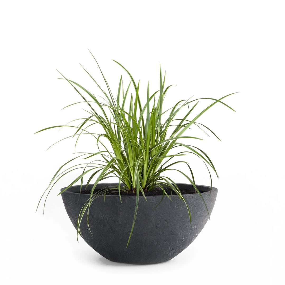 Pflanzwerk® Pflanzkübel Pflanzschale Bowl Ø 36cm Lava Anthrazit *Frostbeständige Blumenschale* *Prem