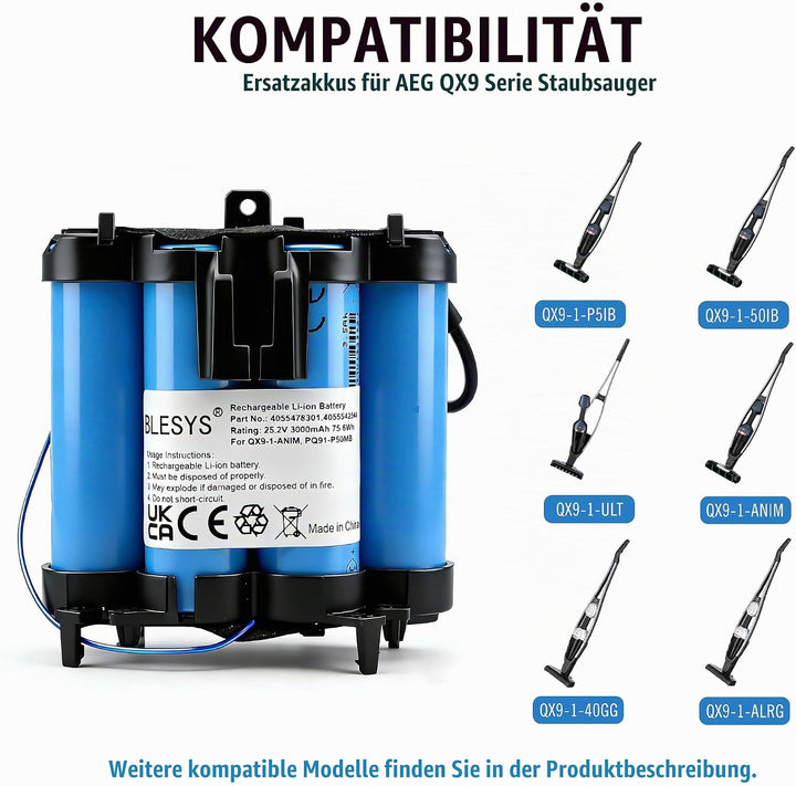 BLESYS Ersatzakku 3000 mAh für AEG QX9-1 Hand-Staubsauger, kompatibel mit QX9-1-ANIM, QX9-1-ULT, QX9
