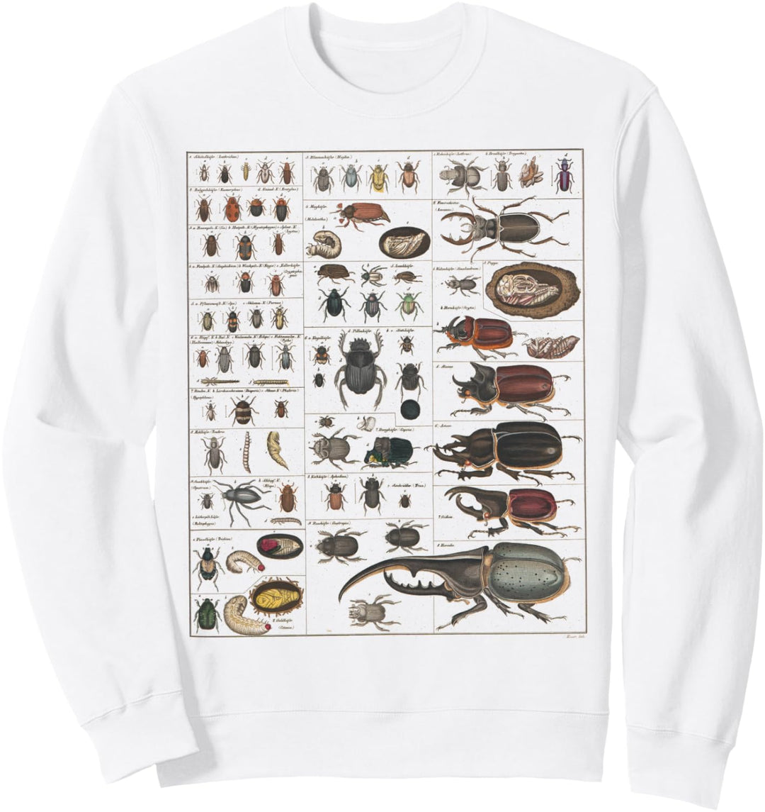 Insekten Sammlung Spezies Bugs Vintage Chart Entomologie Sweatshirt