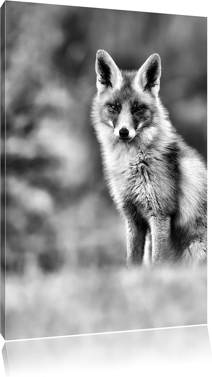 Pixxprint Listiger Fuchs als Leinwandbild/Grösse: 100x70 / Wandbild/Kunstdruck/fertig bespannt, 100x