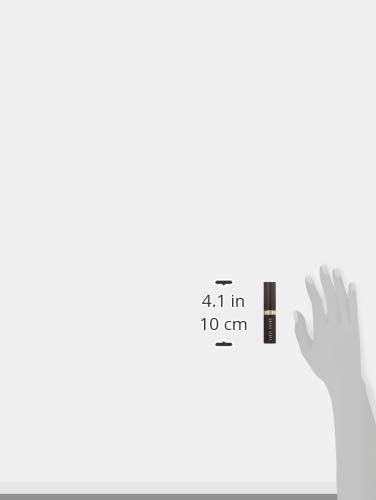 Bobbi Brown Skin Foundation Stick, 5.5 Warm Honey, 1er Pack (1 x 9 g) 9 g (Pack of 1) braun, 9 g (Pa