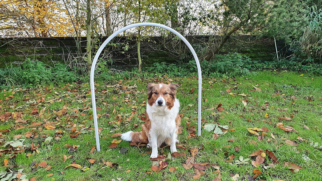 Set 2 x NADAC Hoopers Bögen/Hoop/Hoops/Fun Hoopers Agility Bögen mit Erdnägeln/PVC weiss/grau