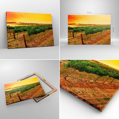 Bilder auf Leinwand Landschaft Weinberg Sonnenuntergang Leinwandbild 70x50cm Wandbilder Dekoration W