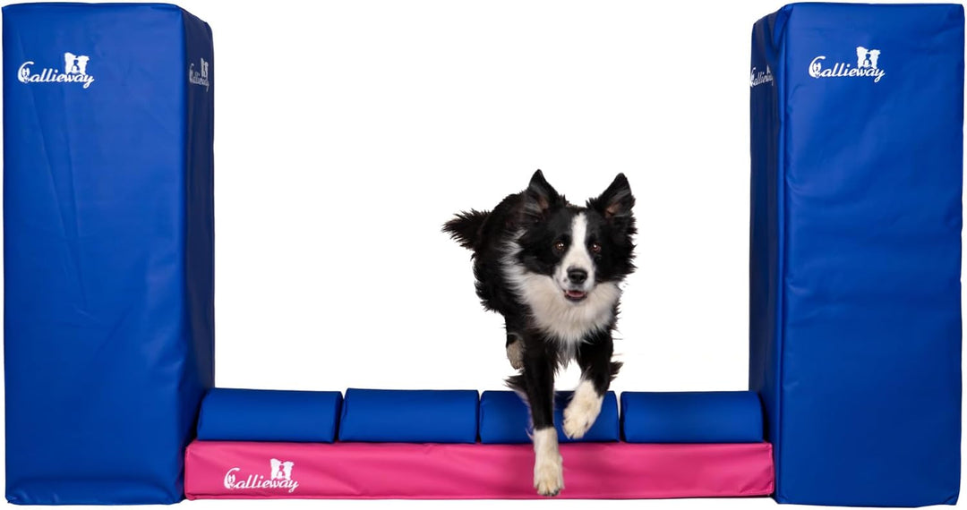 Callieway Turnier Agility Mauer „Bounce Over - Soft“ – alle FCI Sprunghöhen (Fuchsia/blau), fuchsia/