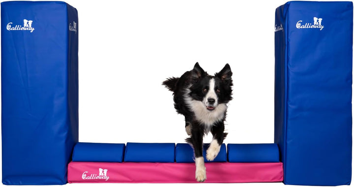 Callieway Turnier Agility Mauer „Bounce Over - Soft“ – alle FCI Sprunghöhen (Fuchsia/blau), fuchsia/