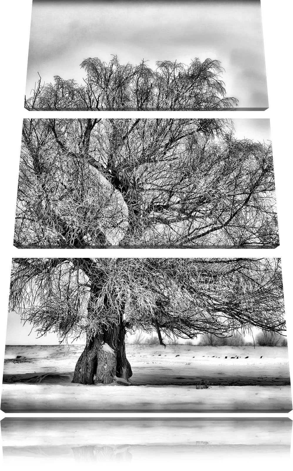 Pixxprint Monocrome, Bäume im Schnee Nebel 3-Teiler Leinwandbild 120x80 Bild auf Leinwand