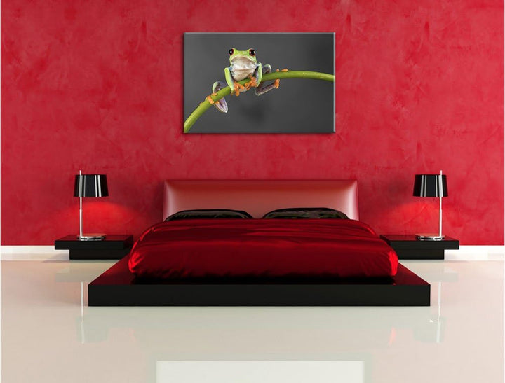 Pixxprint Baum-Frosch auf Bambus als Leinwandbild/Grösse: 100x70 / Wandbild/Kunstdruck/fertig bespan