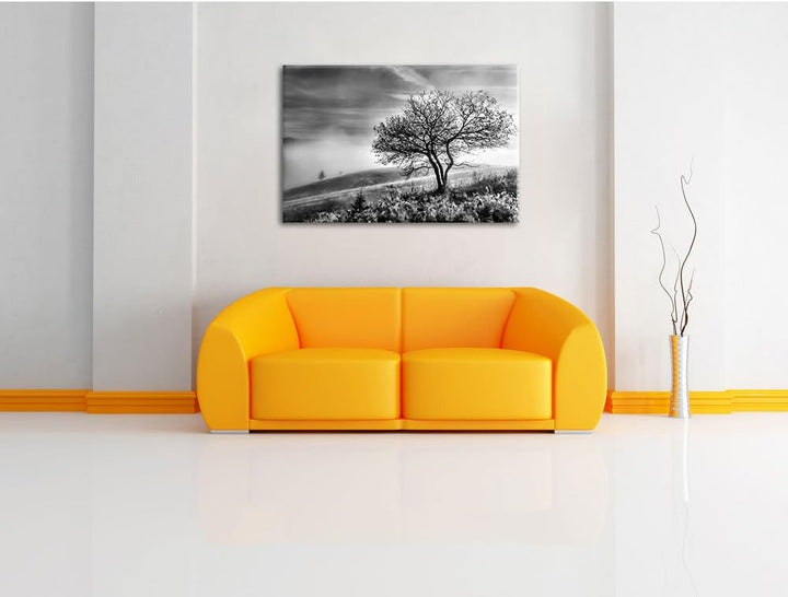 Pixxprint Monocrome, Baum im hohen Gras schwarz weiss, Format: 100x70 auf Leinwand, XXL riesige Bild