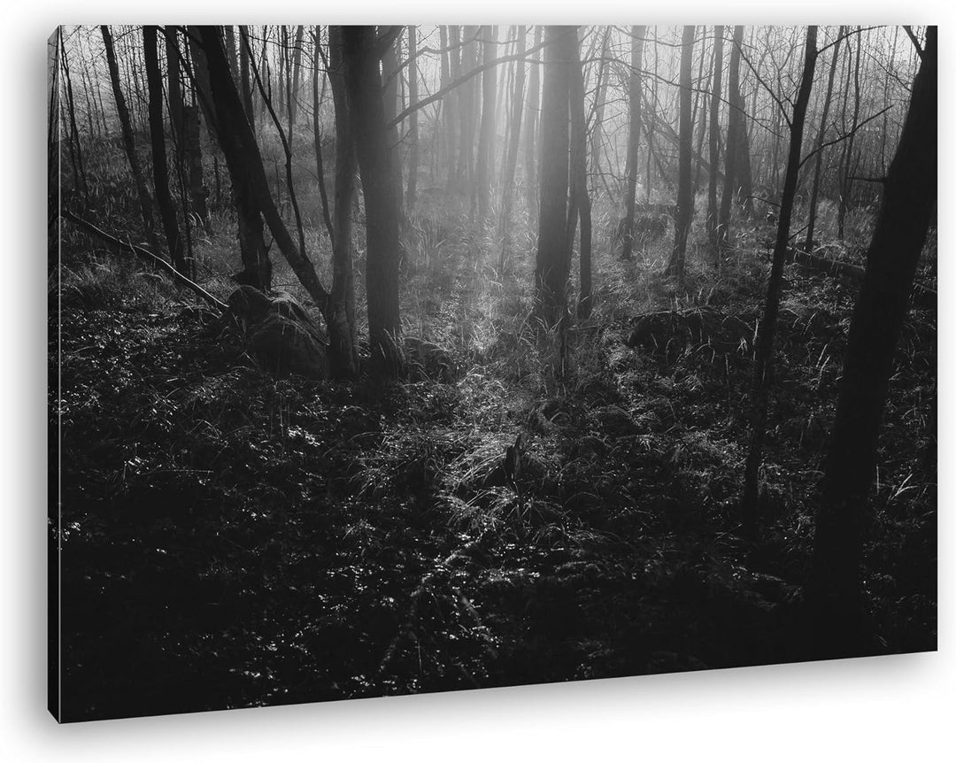 deyoli Dunkler Wald Effekt: Schwarz/Weiss Format: 100x70 als Leinwand, Motiv fertig gerahmt auf Echt