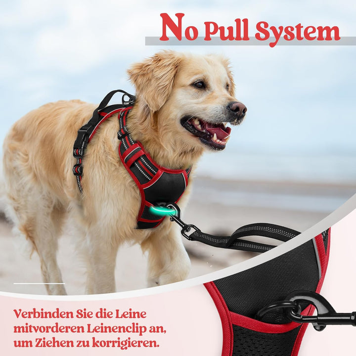 rabbitgoo Hundegeschirr Mittelgrosse Hunde, Anti Zug Geschirr mit Kontrolle, No Pull Verstellbar Hun