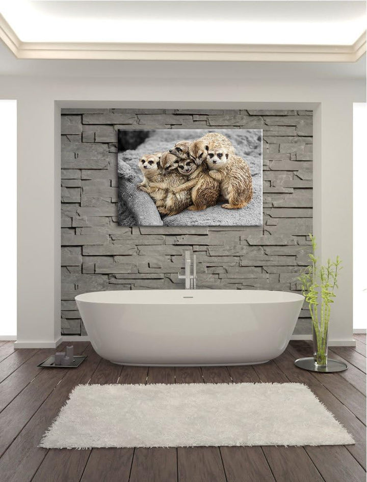 süsse Erdmännchen kuscheln schwarz/weiss Format: 100x70 auf Leinwand, XXL riesige Bilder fertig gera