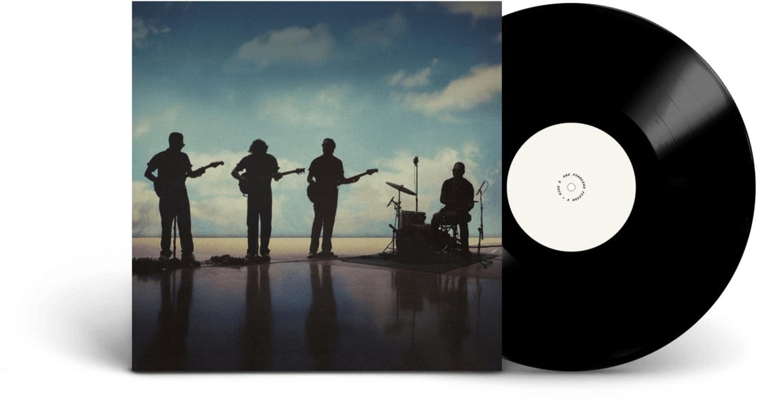 The Fearless Flyers V, Vinyl