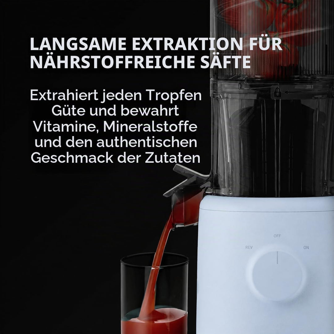 HUROM | Slow Juicer | Entsafter Gemüse und Obst | H310A | Elektrische Kaltpresse | Ruhiger Motor | L