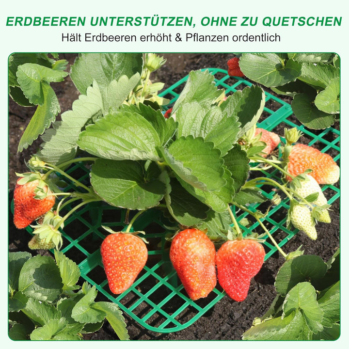 Erdbeer Pflanzenstützen, 10er Set Quadratisch, Erdbeerständer hält Erdbeer vom Boden fern, Wiederver