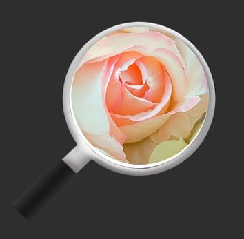 islandburner Bild Bilder auf Leinwand Rosen Pastell Deko Blumen 4er XXL Poster Leinwandbild Wandbild