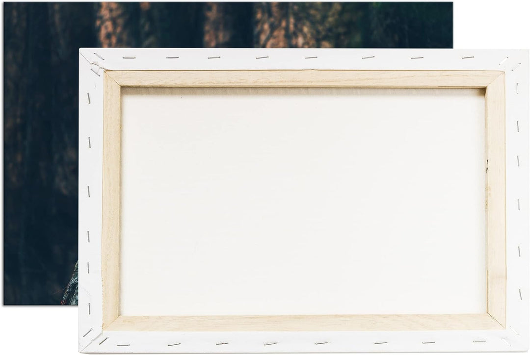 deyoli erhabene stolze Löwin Format: 100x70 als Leinwand, Motiv fertig gerahmt auf Echtholzrahmen, H