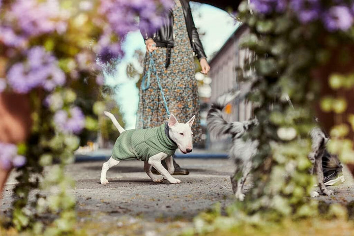 Hurtta Razzle-Dazzle Midlayer Jacke für Hunde, verstellbar, wendbar, Pull On, unter Regenmänteln und