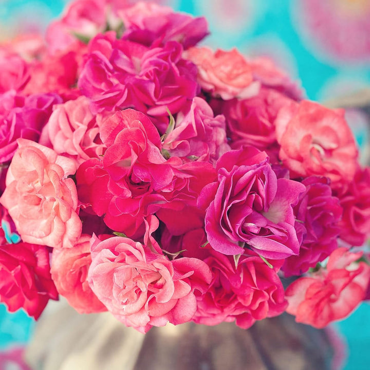 Pixxprint Glasbild | Wandbild auf Echtglas | Blumen | 80x80 cm | inkl. Aufhängung und Abstandshalter