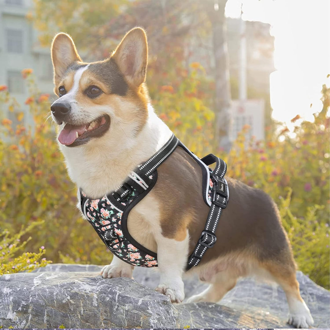 HEELE Hundegeschirr, No-Pull Hundegeschirr, Brustgeschirr für Mittelgrosse Hunde, Weich Atmungsaktiv