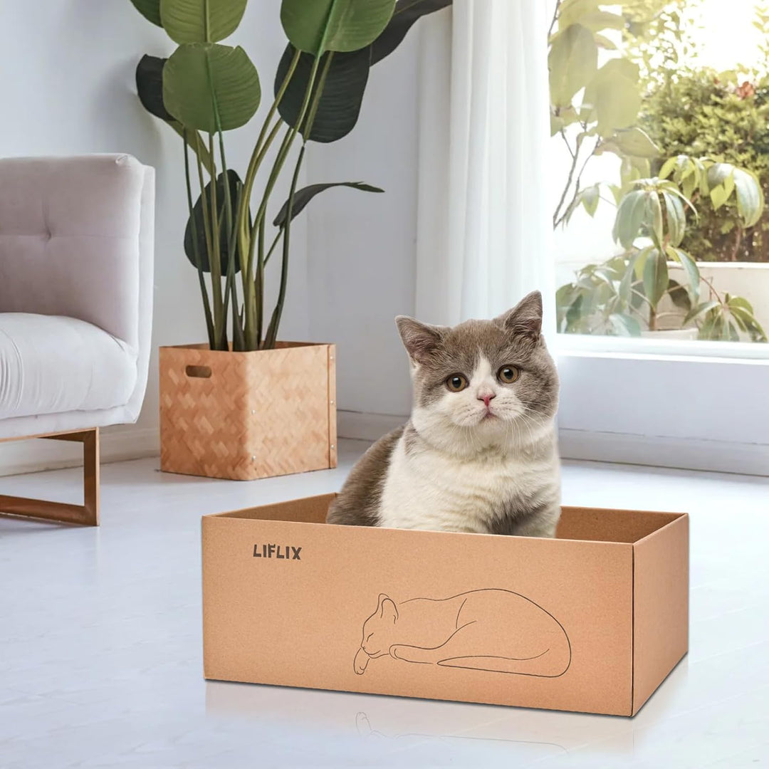 6 STK. Kratzbretter mit 2 Boxen, 43.5×33.5×15.5cm Kratzpappe für Katzen mit hochwertiger Karton, 6 S