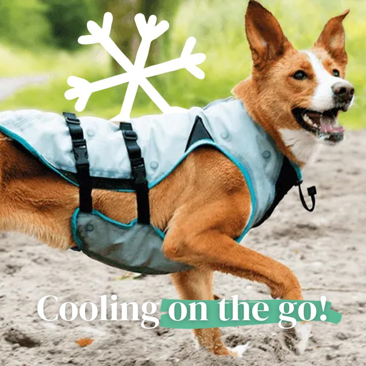 Suitical Dry Cooling Vest Hund, Silber (S) silber S, silber S