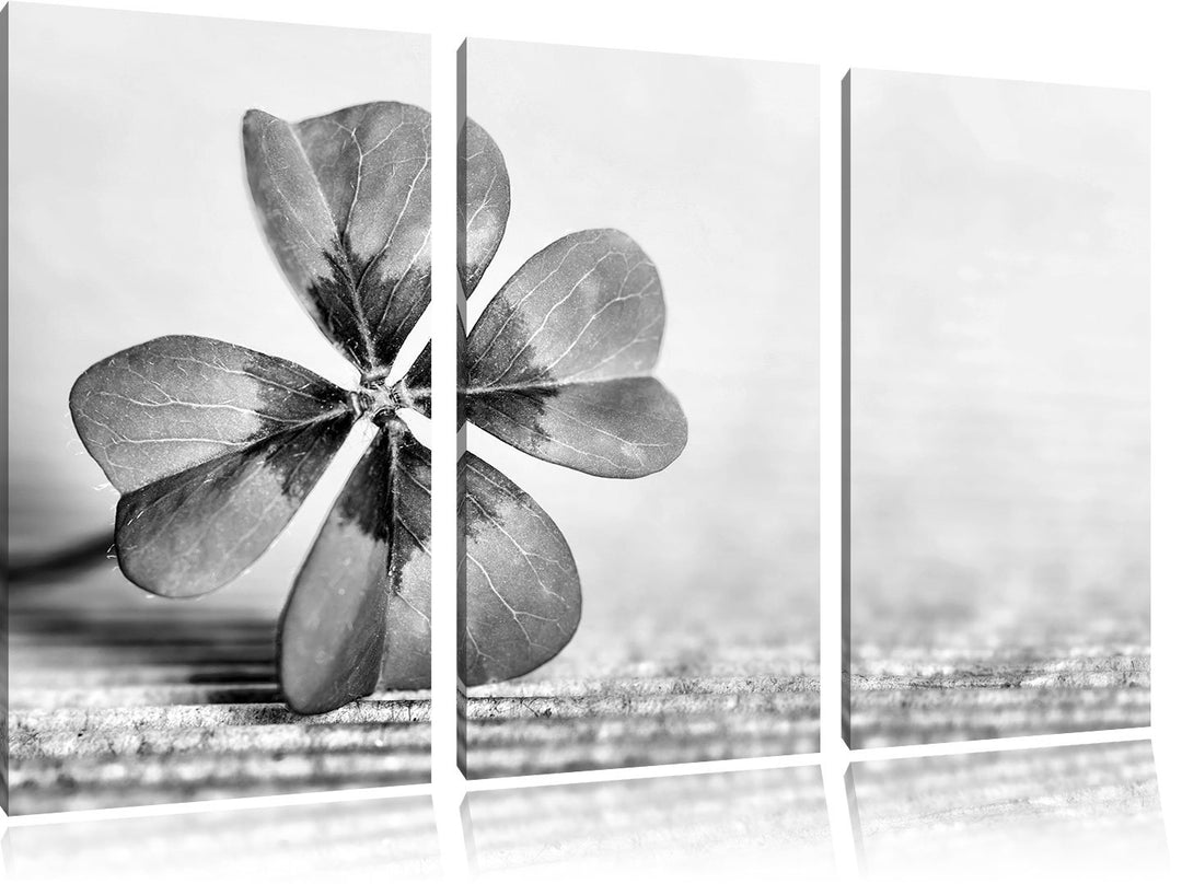 Pixxprint Glücks Kleeblatt mit 4 Blättern als Leinwandbild | Grösse: 3 Teilig (120x80) | Wandbild| K