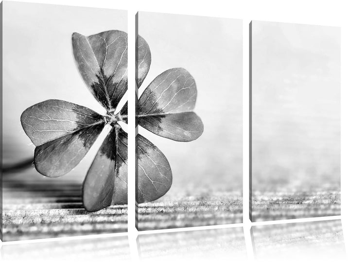 Pixxprint Glücks Kleeblatt mit 4 Blättern als Leinwandbild | Grösse: 3 Teilig (120x80) | Wandbild| K