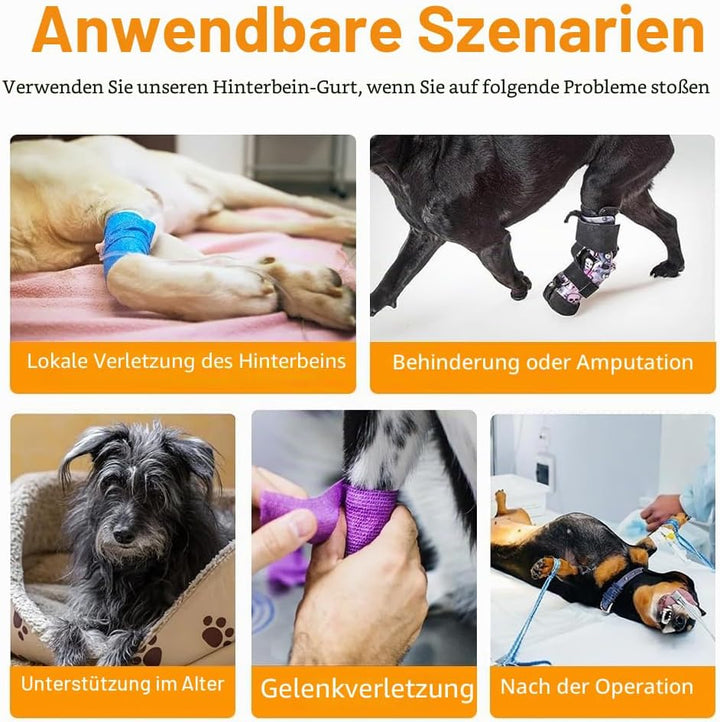 Tragehilfe Hund, 1 Stuck Reflektierendes Hunde Hebegeschirr, Verstellbare Gehhilfe mit Schwachen Hin