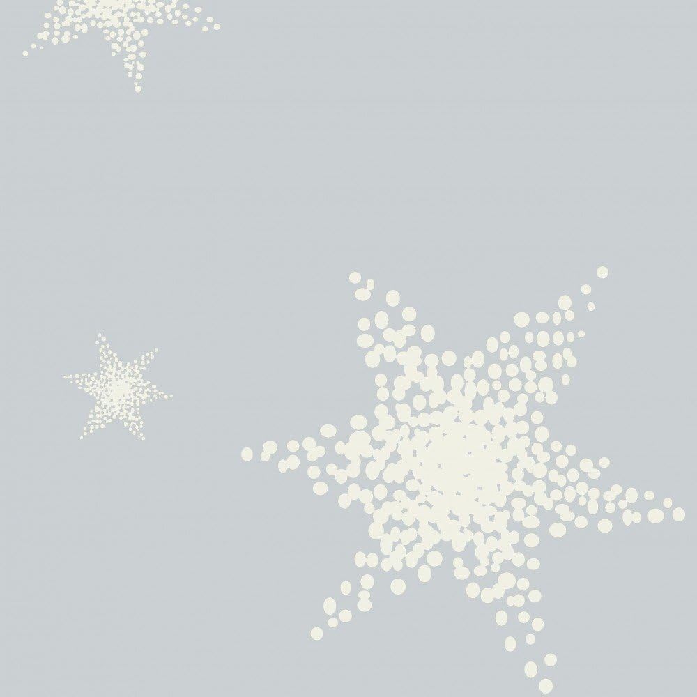 JACK by Dormisette Fein Biber Bettwäsche Stern Sterne Hellgrau Grau Weiss, Grösse:240x220cm Bettwäsc
