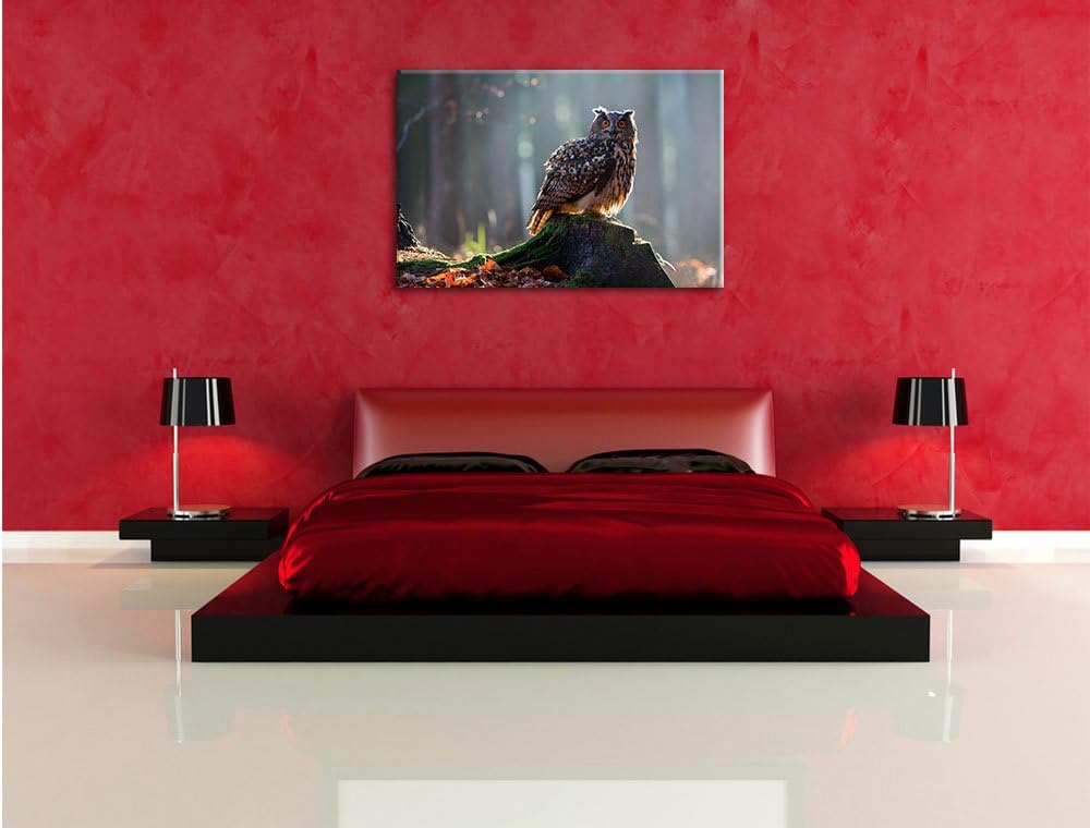 Pixxprint die Eule auf dem Baumstamm als Leinwandbild/Grösse: 100x70 cm/Wandbild/Kunstdruck/fertig b