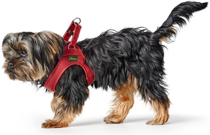 Hunter Hundegeschirr Love, Farbe: rot, weiches Rindsleder, atmungsaktive Mesh-Polsterung, Herz handg