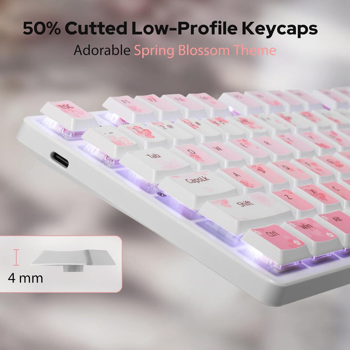 Redragon BS7552 Kabelloses Set 98 Tasten Flachmechanik 4000 DPI Sakura-Rosa