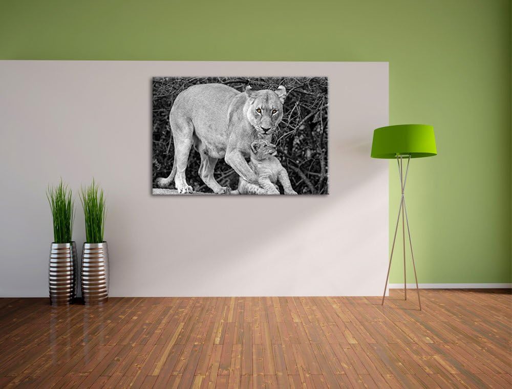 liebevolle Löwin spielt mit Jungtier schwarz/weiss auf Leinwand, XXL riesige Bilder fertig gerahmt m
