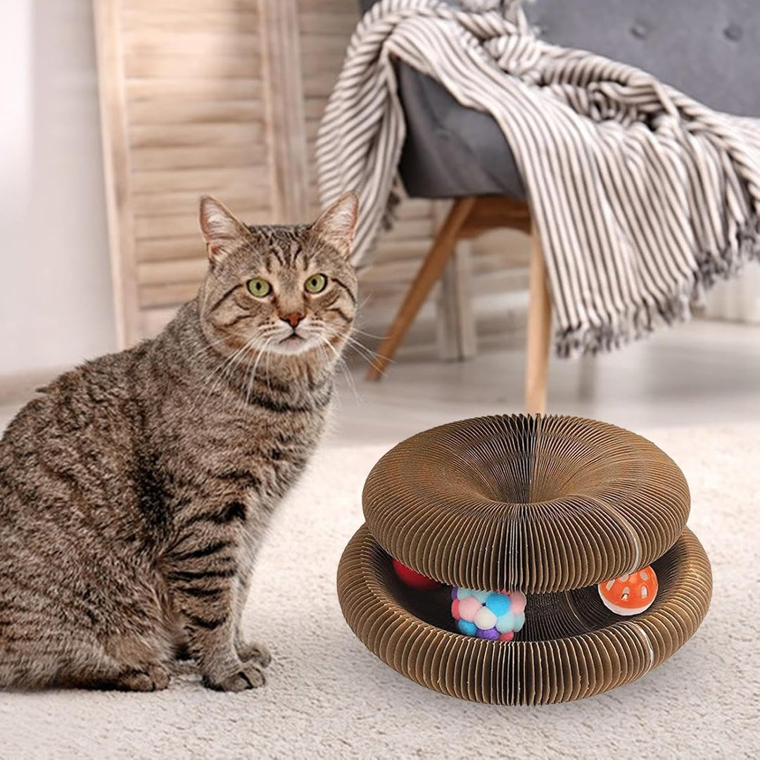 Katzenwirbel, Katzen Wirbel Spielzeug, Katzen Spielzeug, Katzenliebling Akkordeonspielzeug, Fummelbr