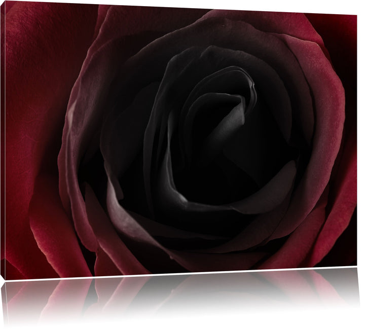 Rote Rose Schwarz/Weiss, Format: 100x70 auf Leinwand, XXL riesige Bilder fertig gerahmt mit Keilrahm