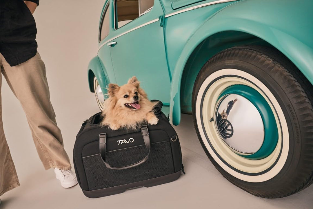 Tavo Hendrick Haustier‑Autositz &amp; Transportbox, ISOFIX, Farbindikatoren, atmungsaktives Mesh, Geeign