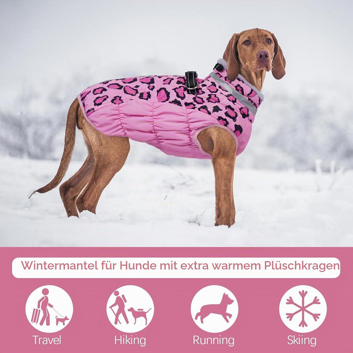 Kuoser Warme Hundejacke, Reflektierende Hundemantel, Winddichte Hundemantel für Kleine Hunde,Moden H