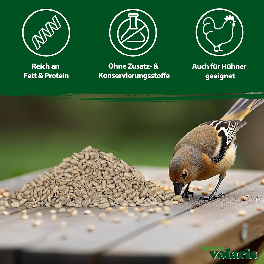 Eggersmann volaris Sonnenblumenkerne Vogelfutter 2,5kg [geschält] – Hochwertiges Vogelfutter Wildvög