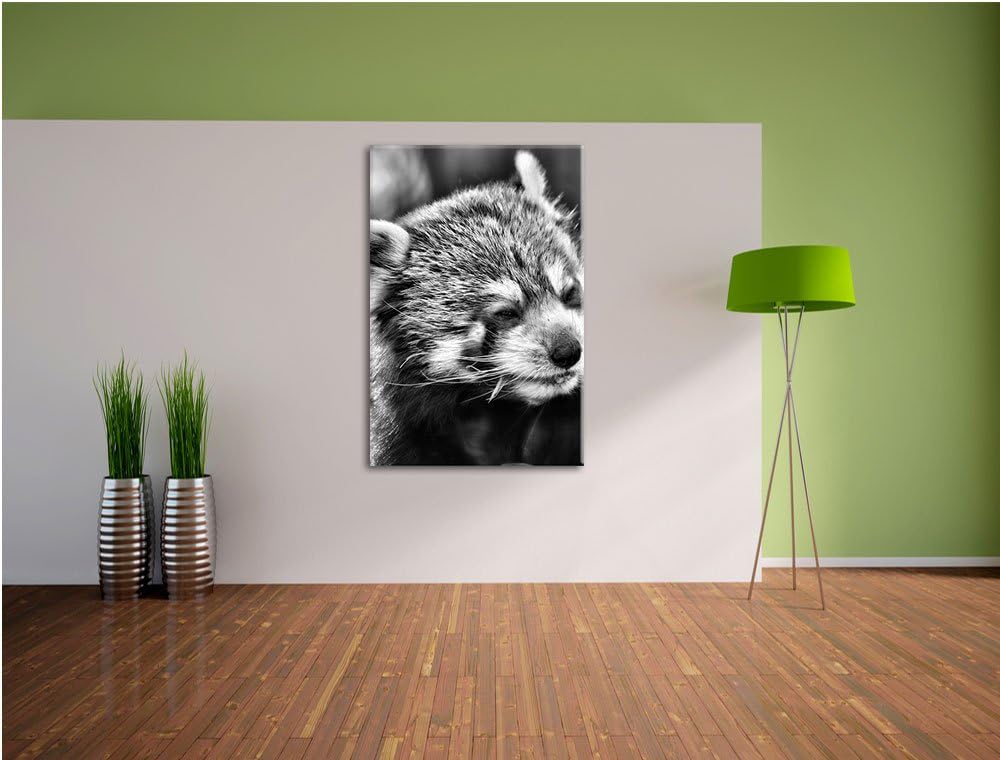 Pixxprint Monocrome, Kleiner Panda SAGT Hallo, Format: 100x70 auf Leinwand, riesige Bilder fertig ge
