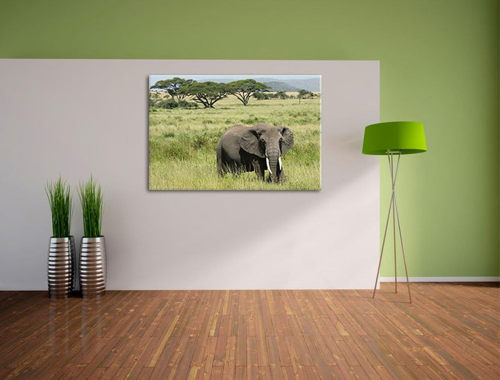 gigantischer Elefant in der Savanne Leinwand, XXL riesige Bilder fertig gerahmt mit Keilrahmen, Kuns